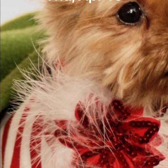 Meet your Posher, Rasty - Picture 1 of 1